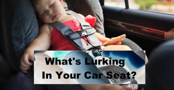 Concerning Chemicals Found in Orbit Baby and Other Car Seats